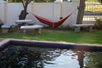 Working in a hammock in Stellenbosch, South Africa