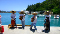 A tropical band welcomes us to the Whit Sunday Islands in Australia